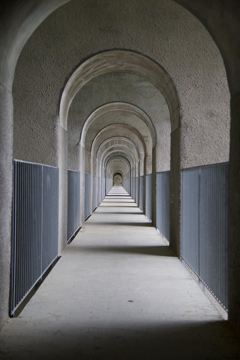 Enchanted Walkway