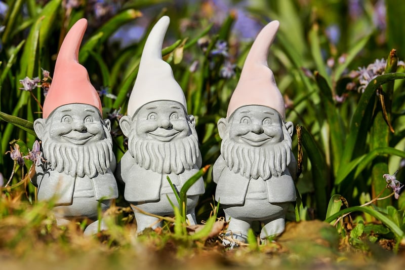 Gnome Garden